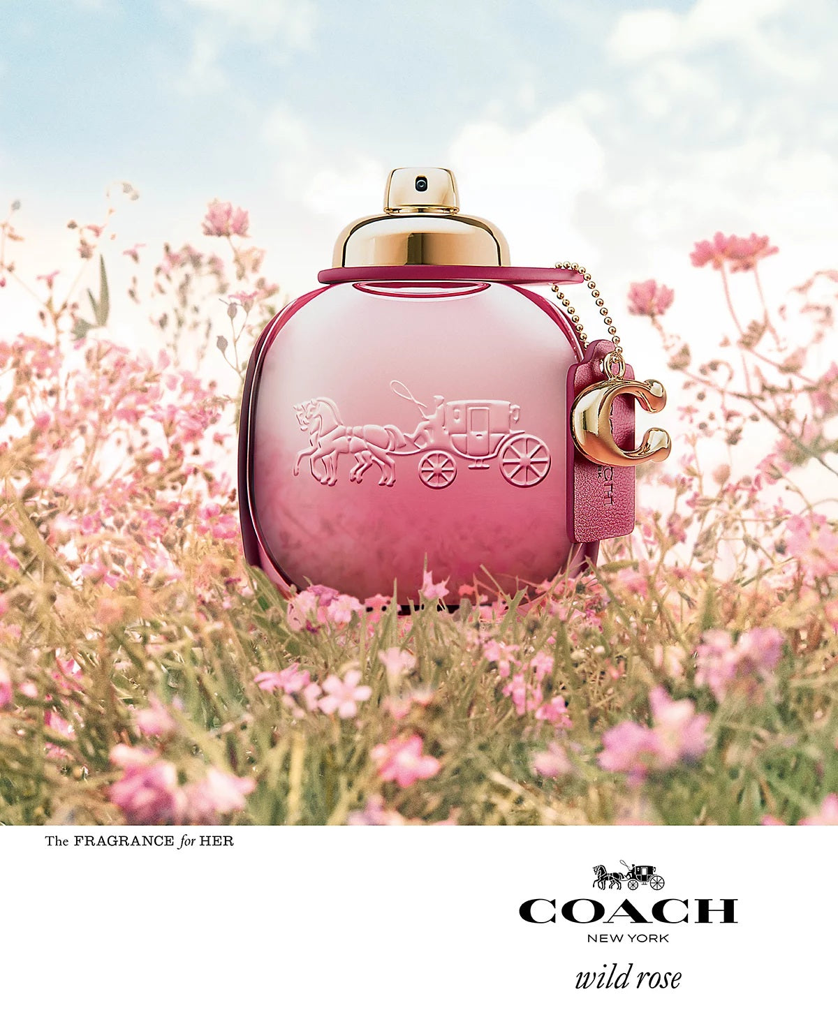 COACH WILD ROSE EDP SPRAY for Women 3.0 oz