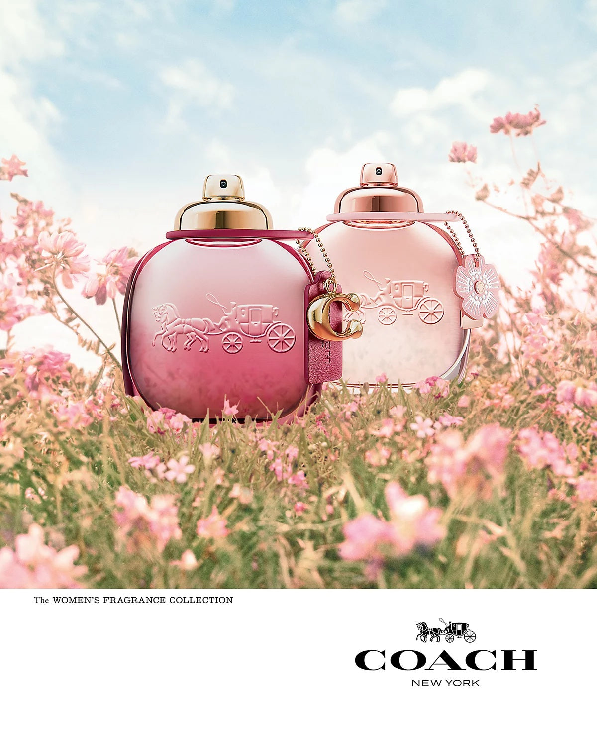 COACH WILD ROSE EDP SPRAY for Women 3.0 oz